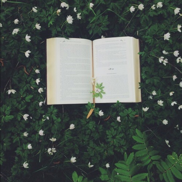 Meet your Posher, Taylor - Picture 1 of 1